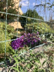 nivopol, le 22 août 2025 (Quimper)