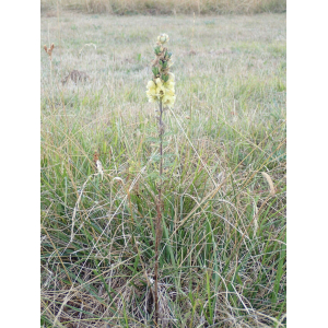 89783d3f9345a3f68923e30973519c1e7066f07168ce1dd5e3fd0