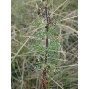 8046e421c7f55a2843c9ea5402b094ddc4603a7e68ce1dd613ba8