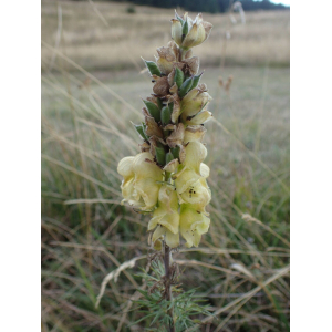 aadf16271e8d3dfb0cceb77da5d24b60161c116b68ce1dd63fd21