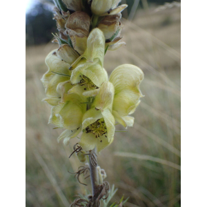 e6e4397e91c9491e8bba607d3cf401d5057255b068ce1dd6671e8