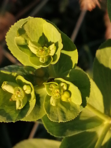 Patrick Ressayre, le 22 novembre 2025 (Saint-Alban-Auriolles)
