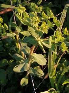 Patrick Ressayre, le 22 novembre 2025 (Saint-Alban-Auriolles)