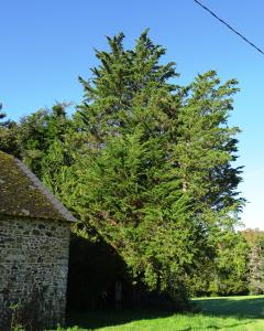 Alain Bigou, le 11 octobre 2024 (Lasseube (Arboretum de Payssas))