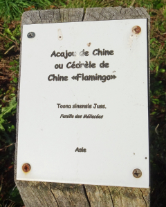 Alain Bigou, le 24 octobre 2024 (Sousceyrac-en-Quercy (La Croix de Pierre))