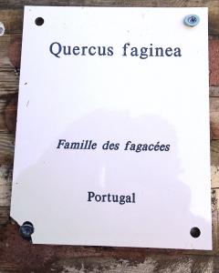 Alain Bigou, le 31 octobre 2024 (Sousceyrac-en-Quercy (La Croix de Pierre))