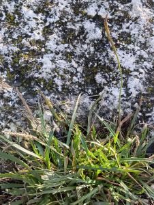 Patrick Ressayre, le 26 janvier 2026 (Berre-l'Étang)