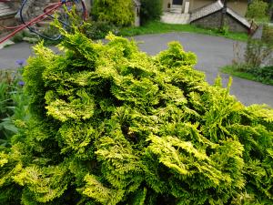 Alain Bigou, le 11 septembre 2025 (La Panouse (En Ville))