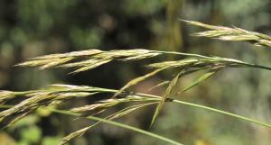 Patrick Ressayre, le 29 mai 2025 (Bourg-Saint-Andéol)