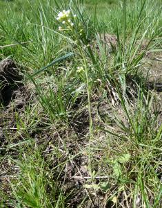 sugar33, le 15 mars 2026 (Cézac)