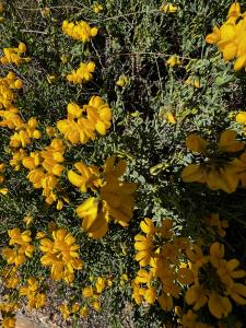 MichelM, le 16 mars 2026 (Xàbia / Jávea)