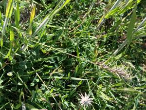 Patrick Ressayre, le  5 avril 2026 (Bourg-Saint-Andéol)