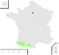 Scorzoneroides duboisii (Sennen) Greuter - carte de répartition