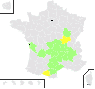 Festuca arvernensis Auquier, Kerguélen & Markgr.-Dann. - carte de répartition