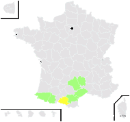 Festuca ochroleuca Timb.-Lagr. - carte de répartition