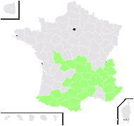 Drymonaetes vesula Gand. - carte de répartition