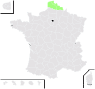 Lolium ×aschersonianum (Dörfl.) Banfi, Galasso, Foggi, Kopecký & Ardenghi - carte de répartition