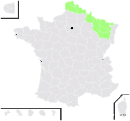 Forsythia ×intermedia Zabel - carte de répartition