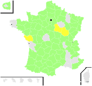 Galanthus nivalis L. var. nivalis - carte de répartition