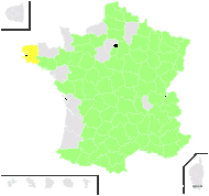 Dalanum angustifolium (Ehrh. ex Hoffm.) Dostál - carte de répartition