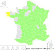 Galeopsis ladanum subsp. angustifolia (Ehrh. ex Hoffm.) Celak. - carte de répartition