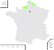 Galeopsis ×ludwigii Hausskn. - carte de répartition