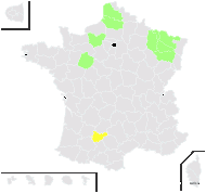 Galium parisiense var. leiocarpum Tausch - carte de répartition