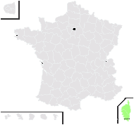 Galium verrucosum var. halophilum (Ponzo) Natali & Jeanm. - carte de répartition