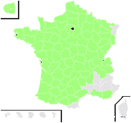 Galium verum L. subsp. verum f. verum  - carte de répartition