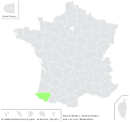 Genista florida L. - carte de répartition