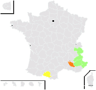 Pyrethrum alpestre Clairv. - carte de répartition