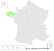 Geranium maderense Yeo - carte de répartition