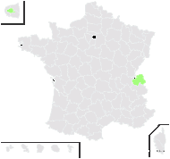 Geranium montanum Bubani - carte de répartition