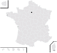 Leucanthemum catalaunicum Vogt - carte de répartition