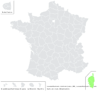 Leucanthemum corsicum (Less.) DC. - carte de répartition