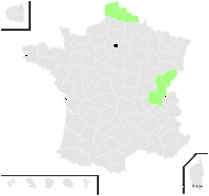 Helianthemum ×kerneri Gottlieb & Janch. - carte de répartition