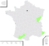 Leucanthemum gaudinii Dalla Torre - carte de répartition