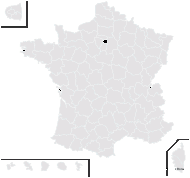 Hieracium aestivale Jord. ex Boreau - carte de répartition