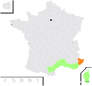 Bunium pachypodum P.W.Ball - carte de répartition