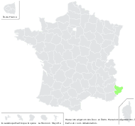 Hieracium aligerum Arv.-Touv. ex Zahn - carte de répartition
