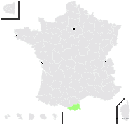 Hieracium andurense Arv.-Touv. - carte de répartition