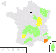 Hieracium vulgatum sensu H.J.Coste - carte de répartition