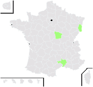 Hieracium auratum Fr. - carte de répartition