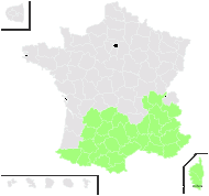 Centaurea conifera L. - carte de répartition