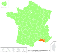 Matricaria discoidea DC. - carte de répartition