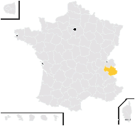 Hieracium cenisium Arv.-Touv. - carte de répartition