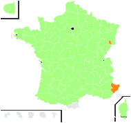 Matricaria chamomilla L. - carte de répartition