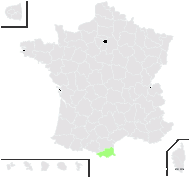 Hieracium columnare Arv.-Touv. - carte de répartition