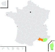 Notobasis syriaca (L.) Cass. - carte de répartition