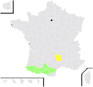 Bupleurum angulosum L. - carte de répartition